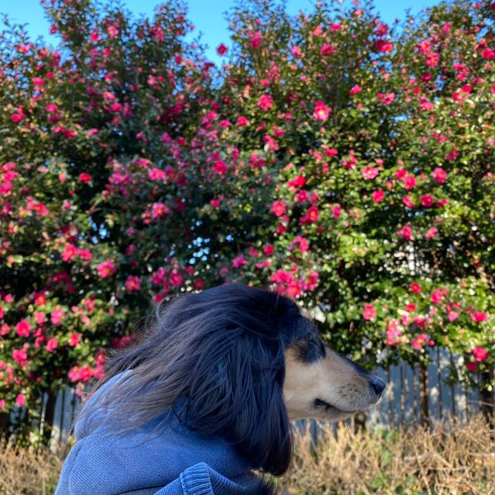 Ab2ef429 4857 4337 ad51 563b039aa713 1767326525818