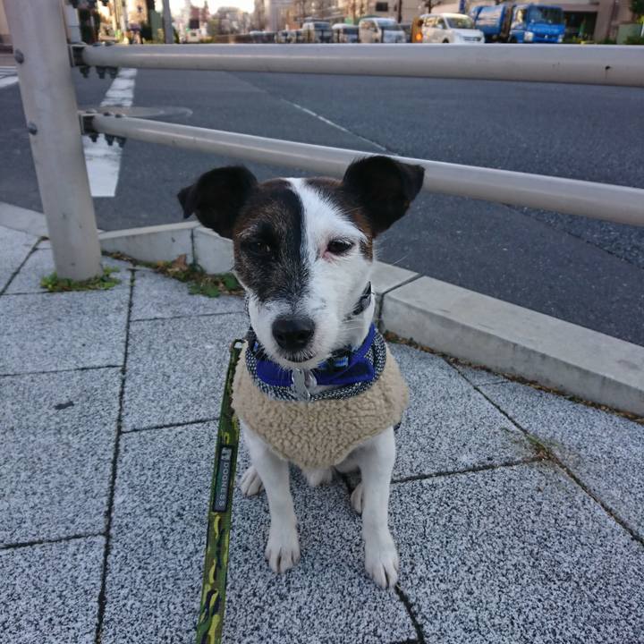 Ab2f12a1 ffd0 4b1f 9197 d9ce3f44281f 1514610725559