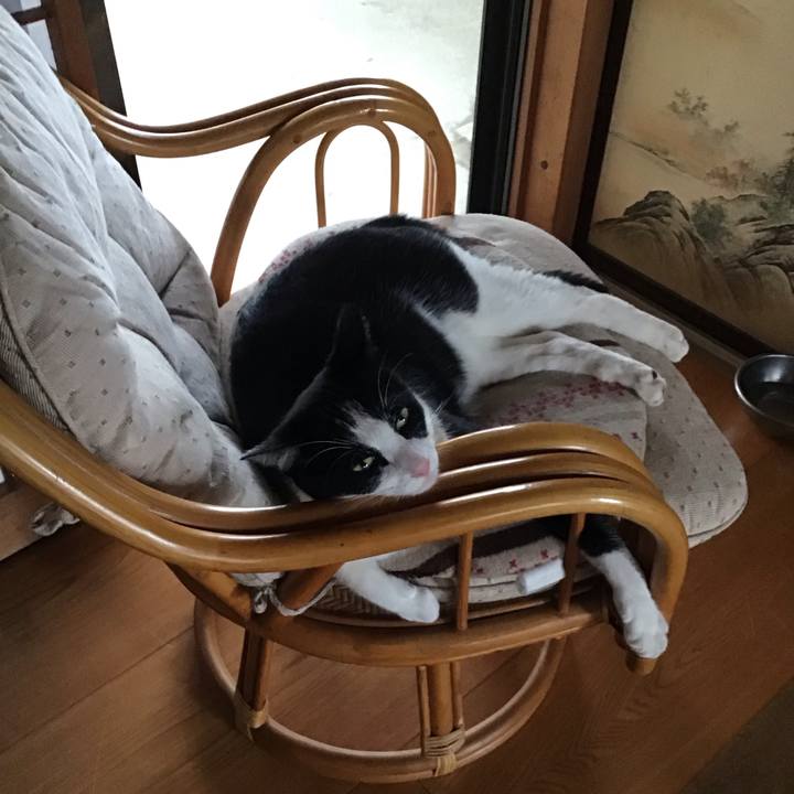 Ab2f1649 c7f1 46b9 91a3 94a7e1bdeb4d 1690804892263