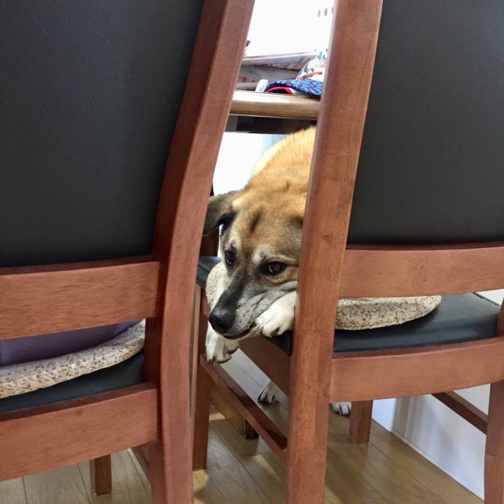 Ab2f3711 0dc5 4a09 9447 9a515a5fb5e9 1528545193970