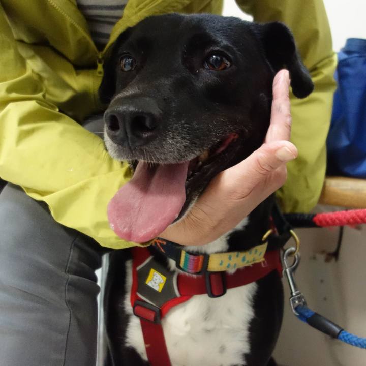 Ab2f5712 d4e0 46a6 80f0 f25ddaf411a6 1630752692839