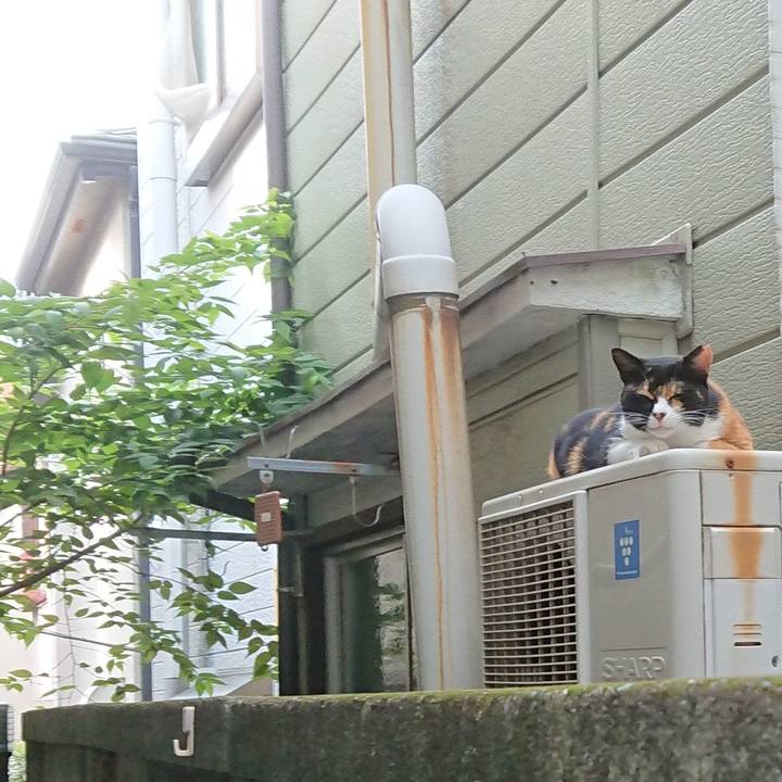 Ab2f60ee 24d1 4cc2 92ec 13b7d76fa2bb 1596180998391