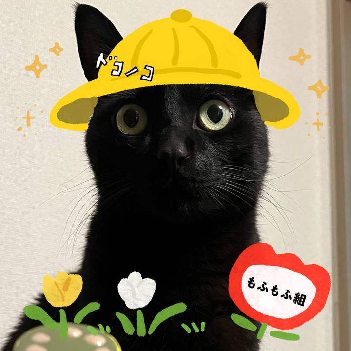 Ab2f7f1b 47c5 4df0 80a2 1616a4d45d43 1712219046575