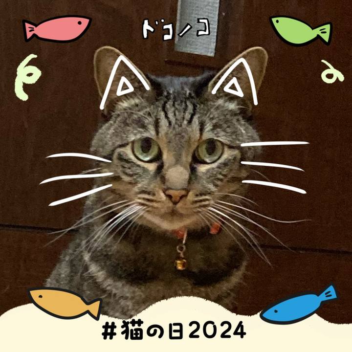 Ab2f98b7 d1aa 4f9e b8db 57f6fbf87849 1708597609102