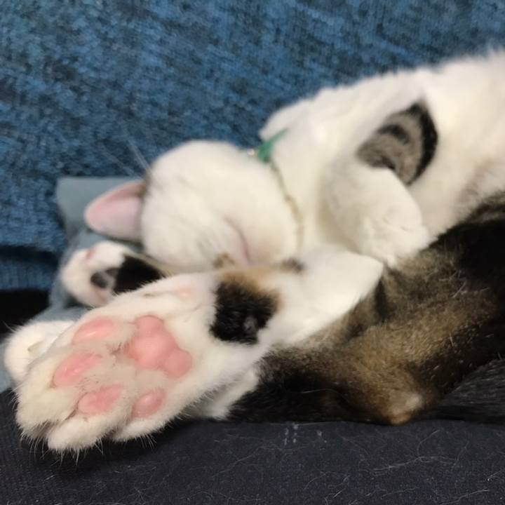 Ab2f9f55 9741 411e a344 0b3e8f08eb36 1558524512935