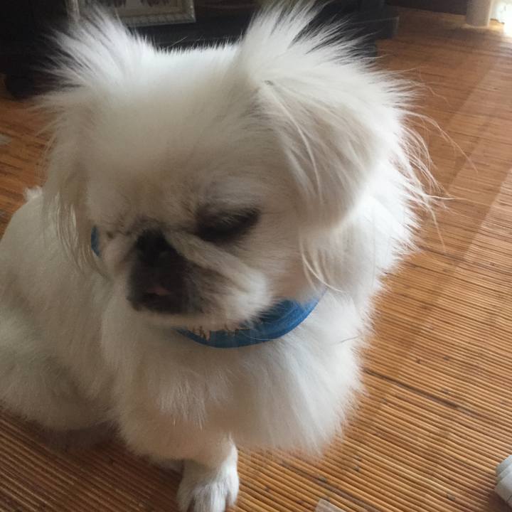 Ab2fec51 689c 466c 8249 be4f7daa3eb6 1535197651641