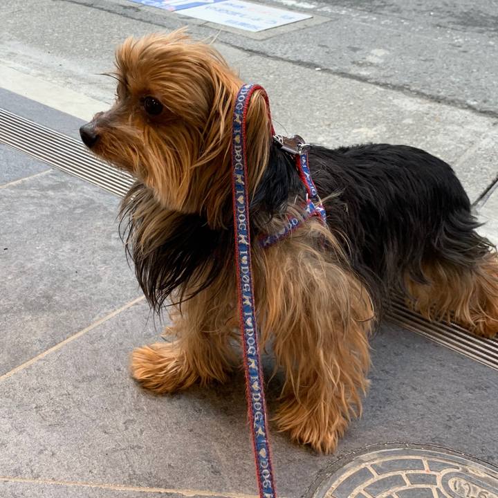 Ab3011cd e977 4a75 a33c 3b6a03b2eb6b 1538725812852