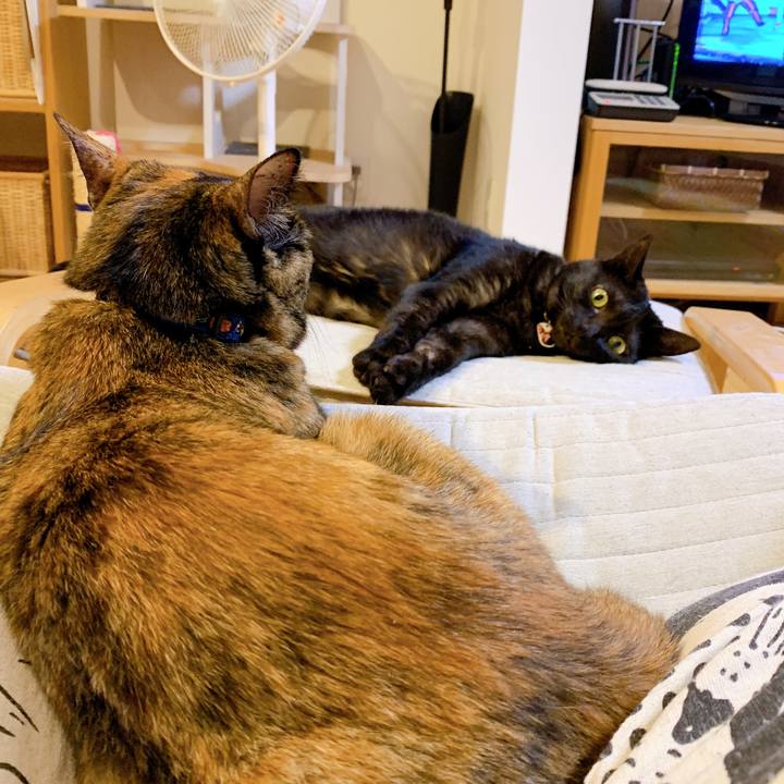 Ab301ccb 3602 4f18 b554 732492940c39 1564496484632