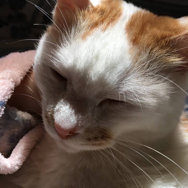 Ab303ac8 f2a6 4116 a378 236430f668a3 1524268470203