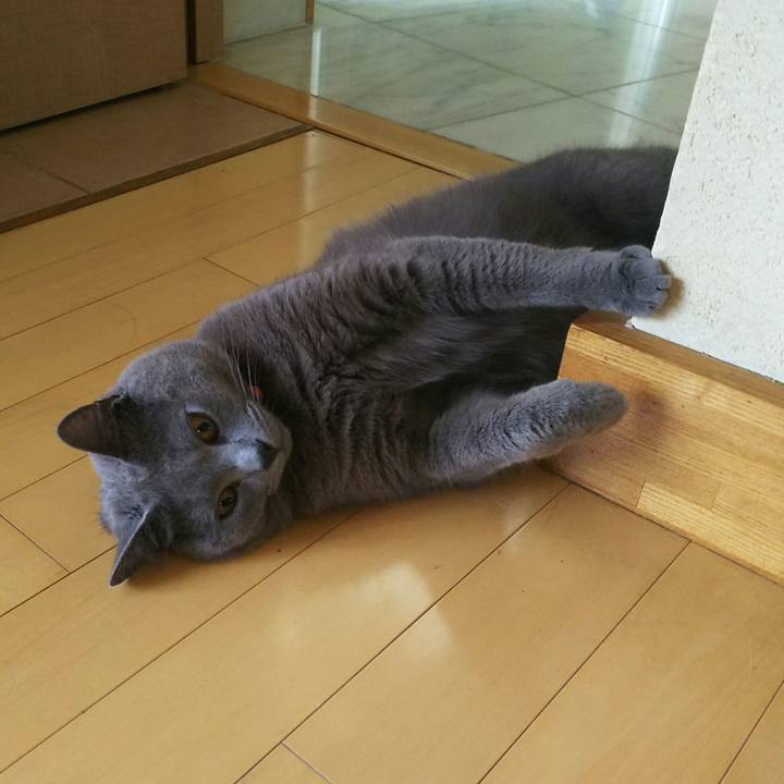 Ab303d5a b05a 4988 b123 73a2748387be 1530587784759