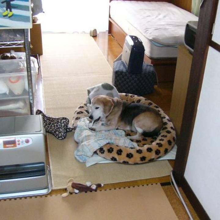 Ab30687d b033 45c1 a4c3 6d0752454e96 1678667885071