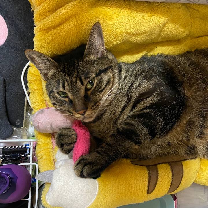 Ab306ad3 22e8 4772 9d32 ff51451d0d43 1618041780654