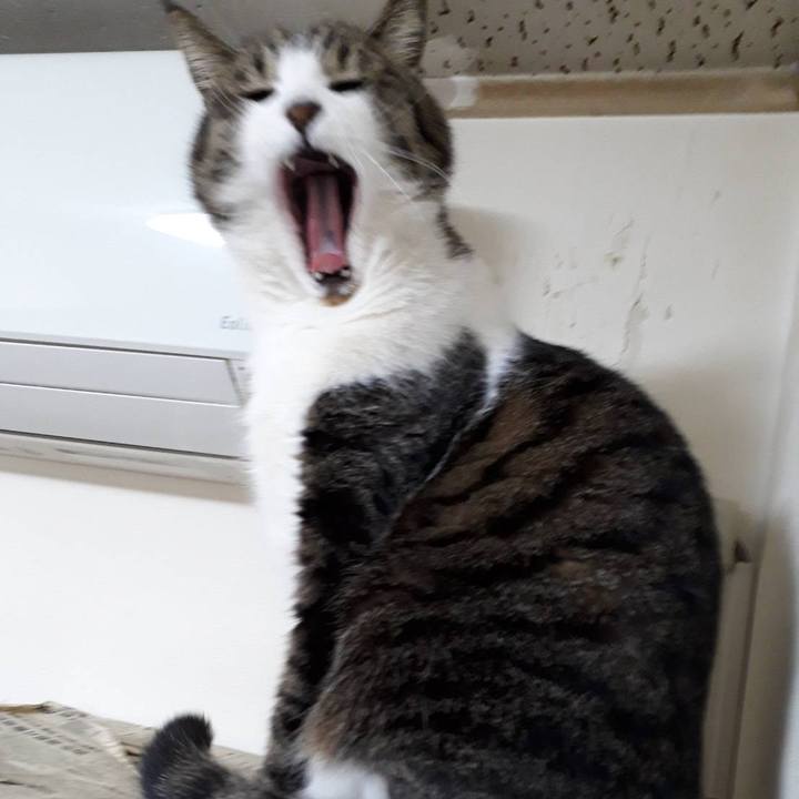 Ab306d7f 3dd1 4e20 9ae4 b24b8b2b07c0 1575030835047