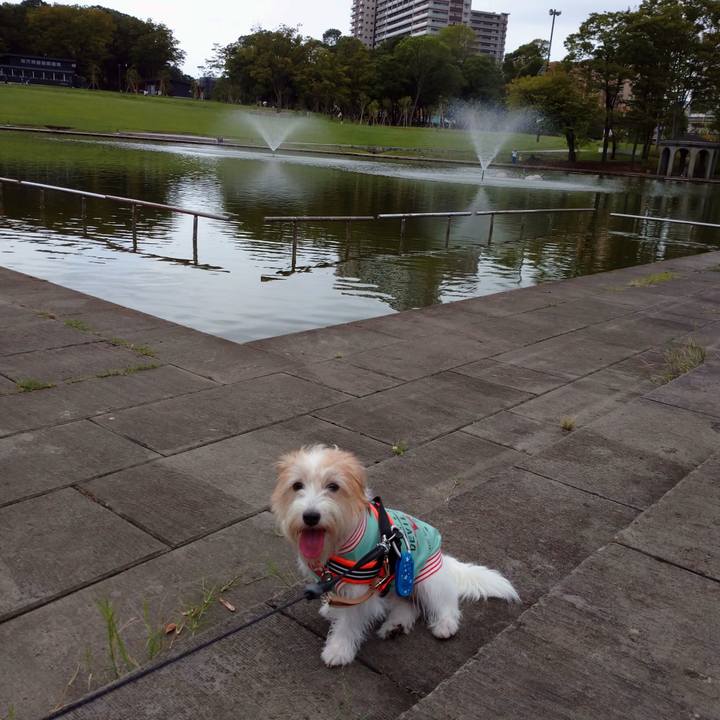 Ab306e91 46b9 4dca 92a6 dec8c882f66c 1757909701446