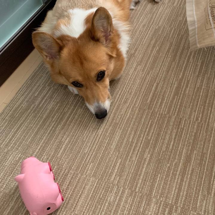 Ab3074c3 c3eb 4f1a 948c 60e32a4f7761 1562745582624