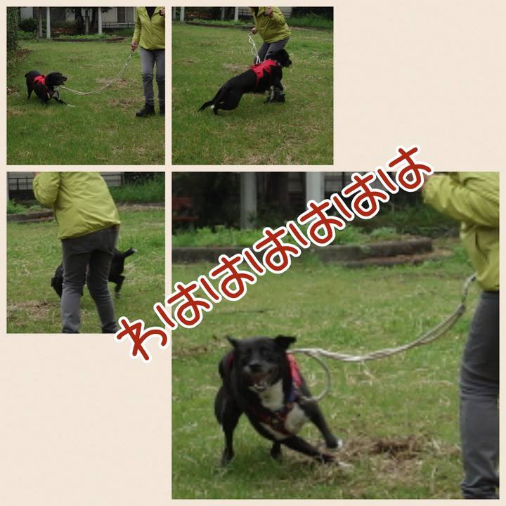 Ab307e65 60ab 4fd8 b1bc a70147ee62a8 1665101973525