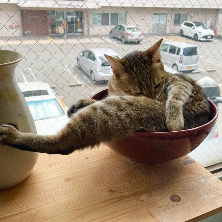 Ab30b925 8031 4896 b123 fb9053e59b8a 1715753030173