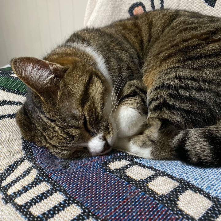 Ab30bfa8 2468 4a24 a595 a01de620b1a9 1713195793832