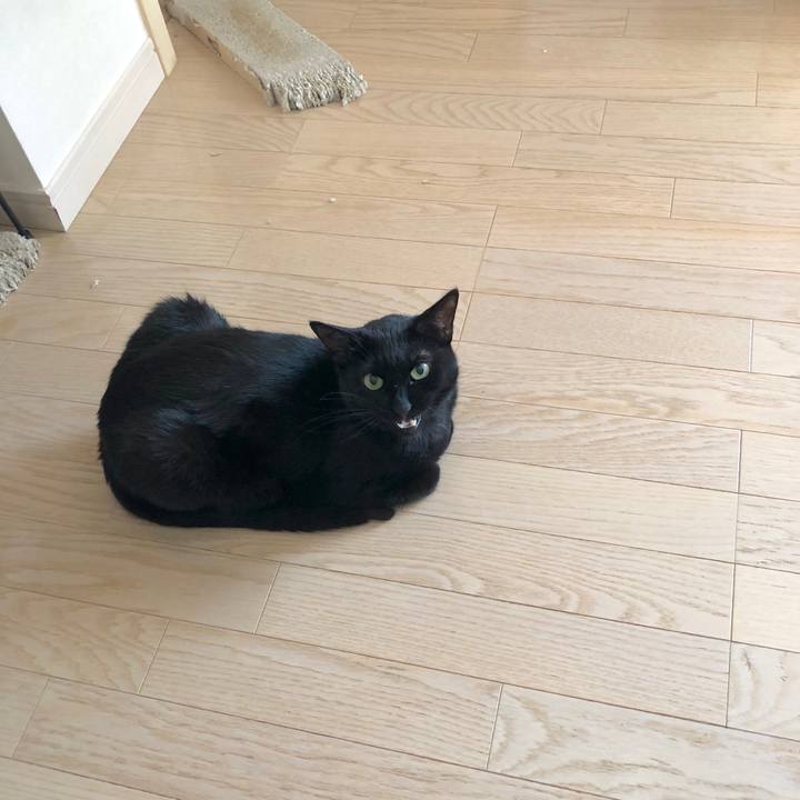 Ab312241 19fa 4b72 9612 e8f25cfb2b3e 1557657793628