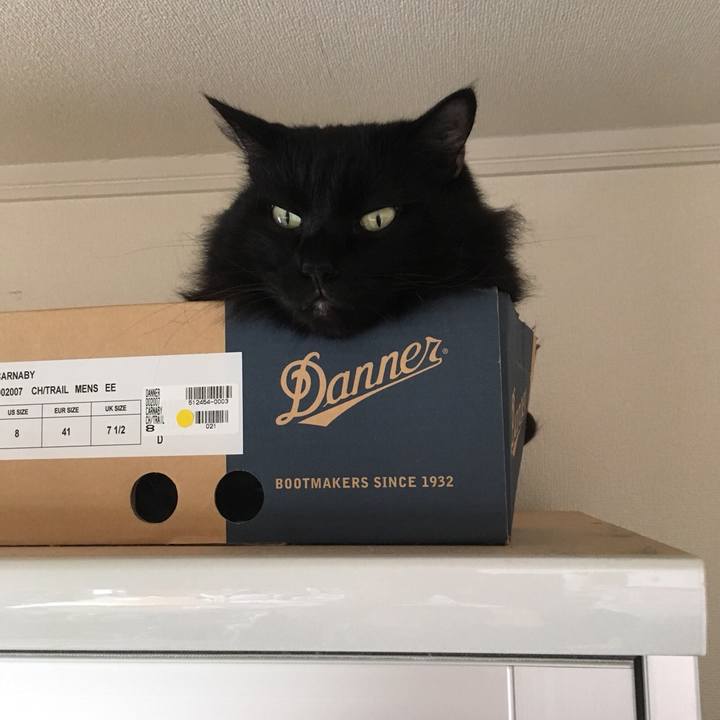 Ab31352c 912a 4abf ba07 91d9084a4c63 1572144347050