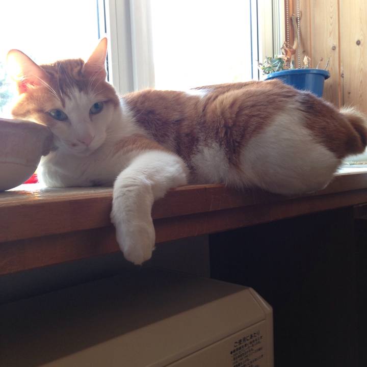 Ab314cbf 94d4 4985 a630 0876d2fc7c3d 1508363200734