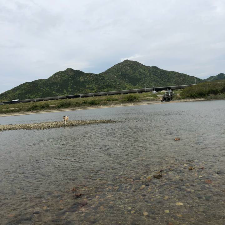 Ab316091 6f8f 495c bcff 7998e1249e38 1556432811681