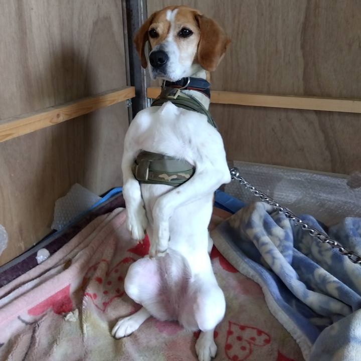 Ab31928e c281 4fa8 a4c2 3a1eb74696d7 1683605717532