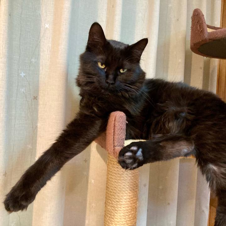 Ab31e330 a4b7 4766 9994 fb2c14b98760 1719304747001