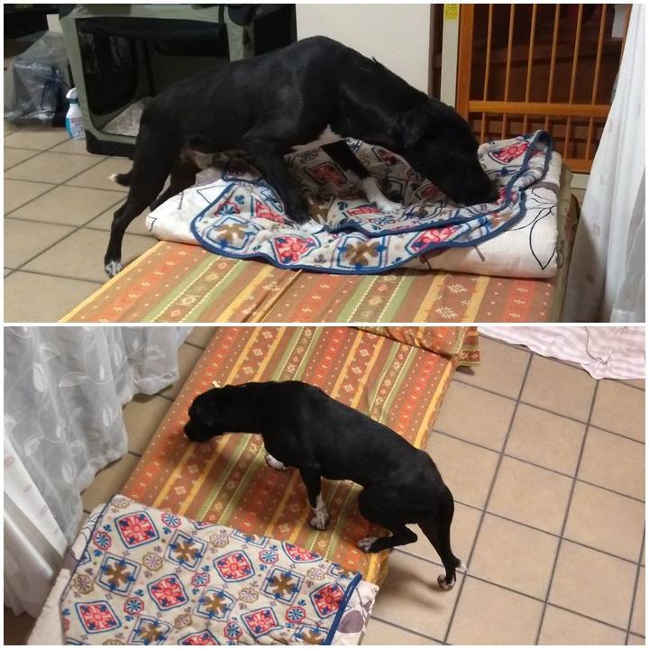 Ab31f179 fc30 4847 9404 bcc92a82c7ba 1588604474953