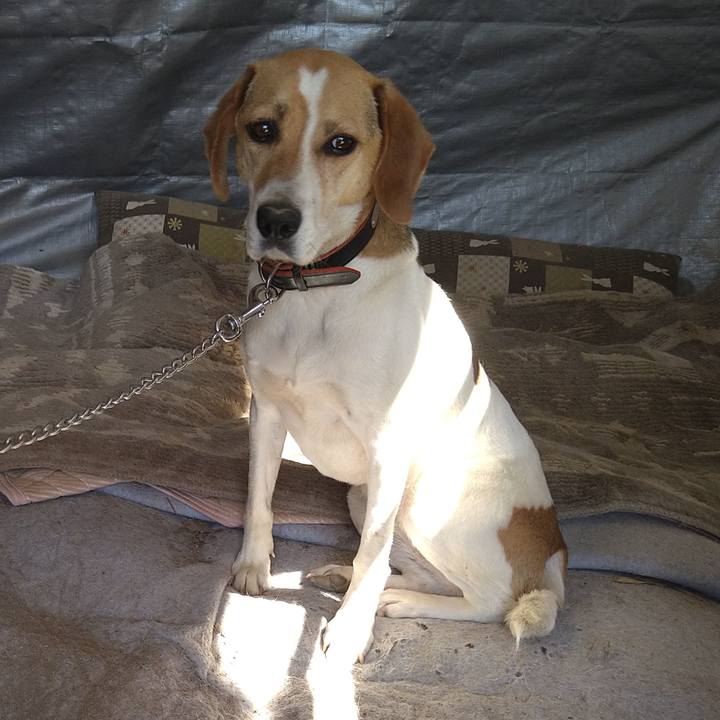 Ab321313 8497 4020 a4c1 bf486cb465b3 1623649823658