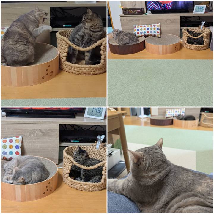 Ab32639f 1486 433b 8b4c e08f5af574e5 1746072766446