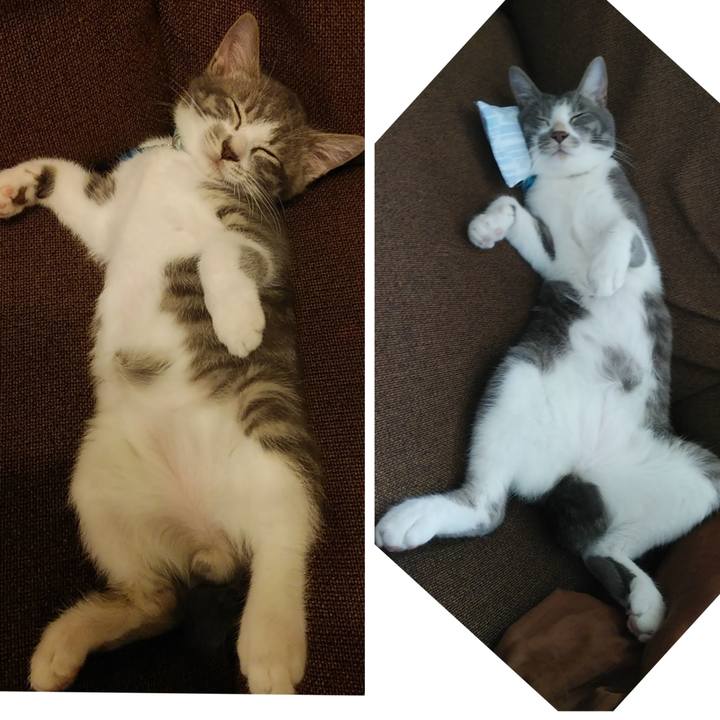 Ab3265cb 8a1b 4b67 b2d2 9b88155aa492 1594380086423