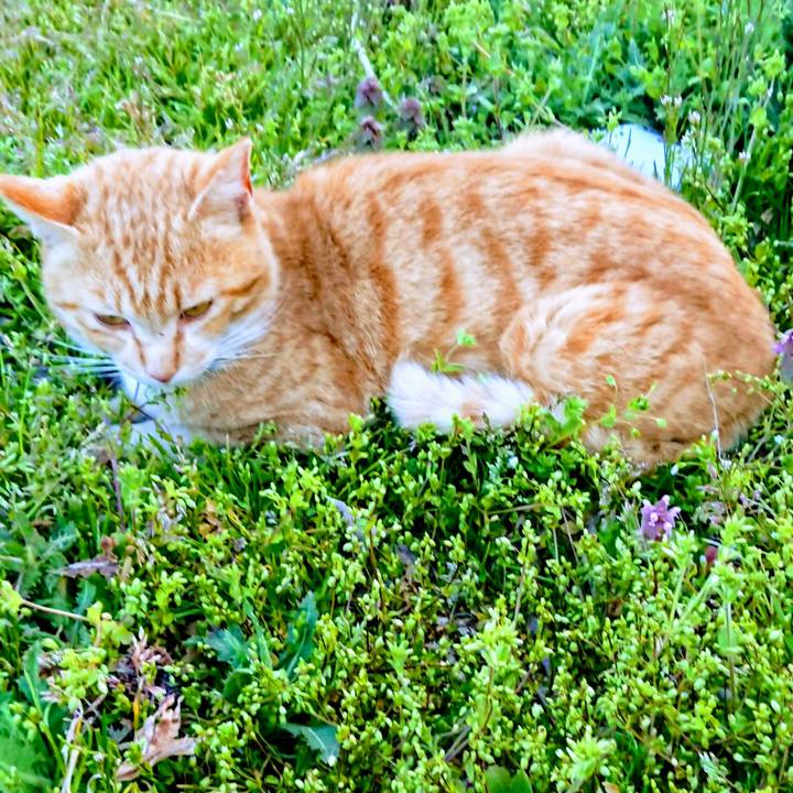 Ab328fec 5bc6 4a08 9dc5 a72745f43213 1556012810506