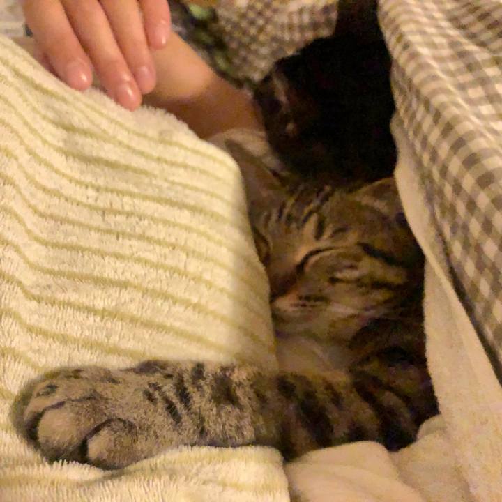 Ab32bb54 1538 44b0 a3ec 9a0a66eddb14 1544302356902