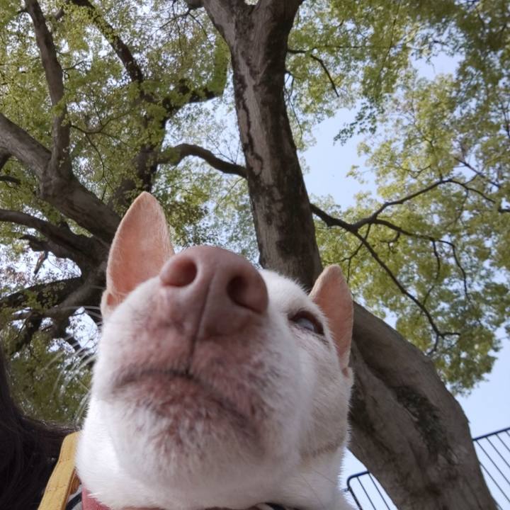 Ab32f127 e080 452a 9505 672db4e68c8f 1555810331718