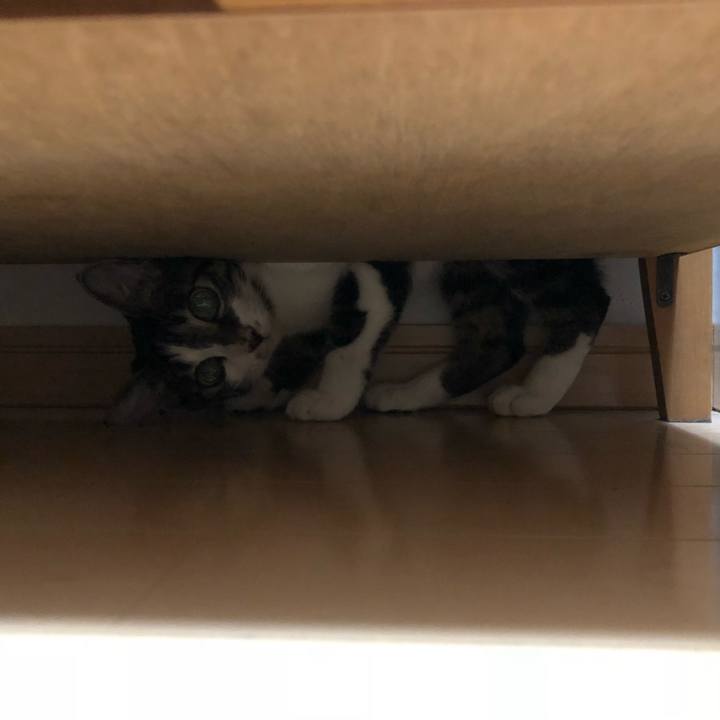 Ab330a3a 0186 47b6 8fb7 1b0fbe5bc075 1537991345177