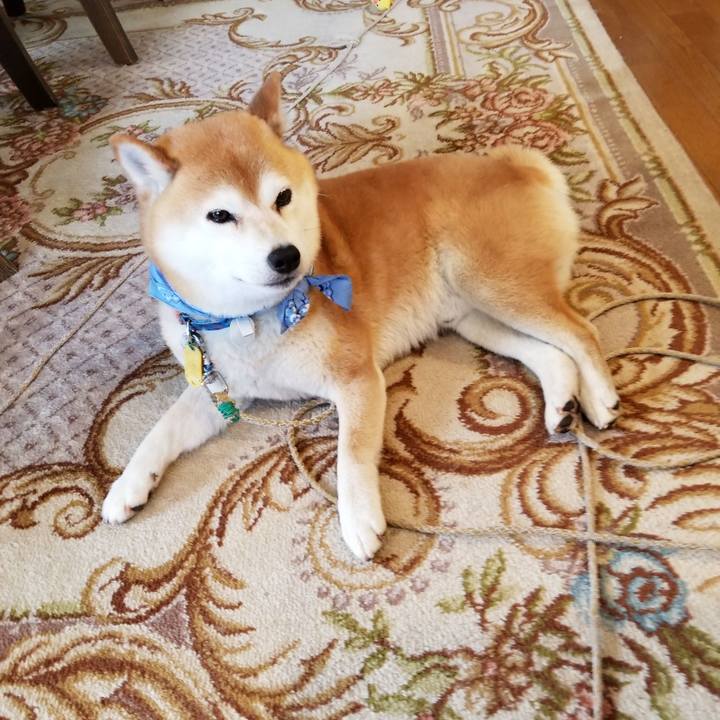 Ab33128f 7001 4ffc b4a0 0e16ce1e4cfd 1560484733268