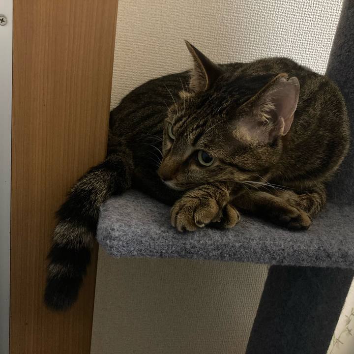 Ab3322a2 c681 4233 a457 442e89280a81 1690886642087