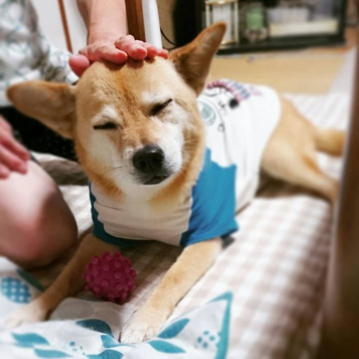 Ab3327a0 fa99 442e 9e0e 15b5b04b7328 1591011274585