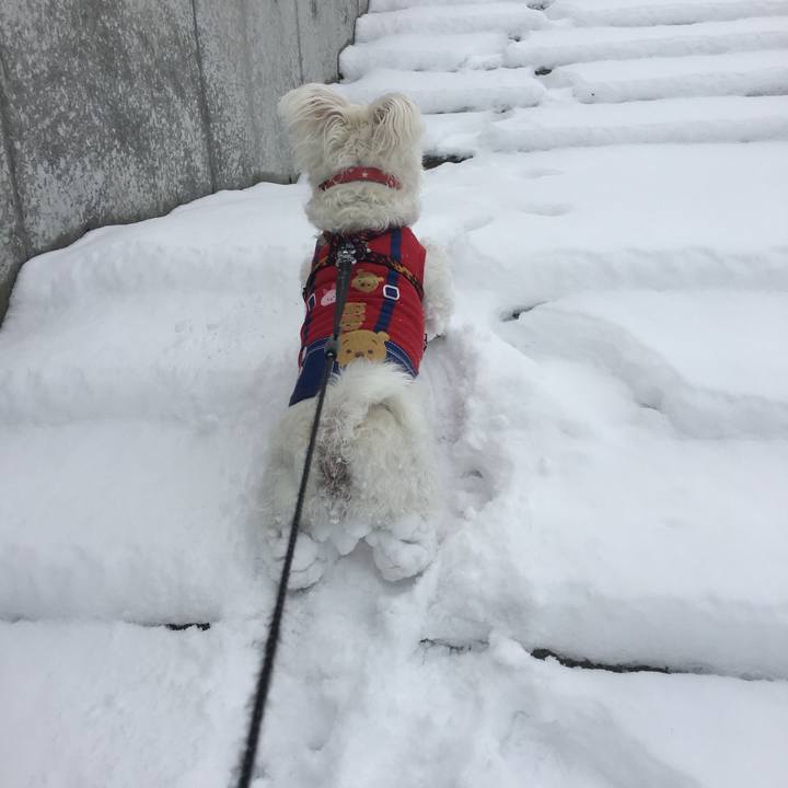 Ab33ae1e a69b 4f65 8b58 54b8efd779d7 1518546953479