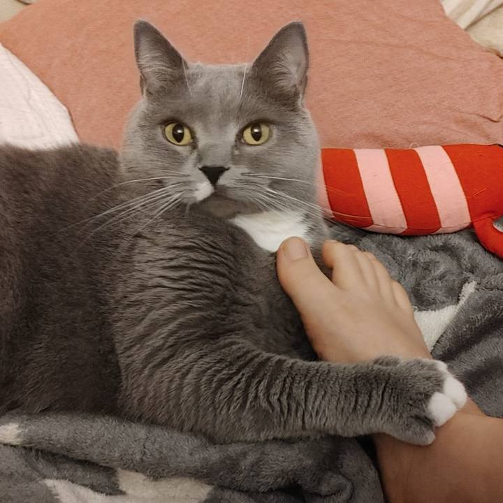 Ab33b0bd 5a6a 498d 98b4 0dd3350f98cd 1620186304652