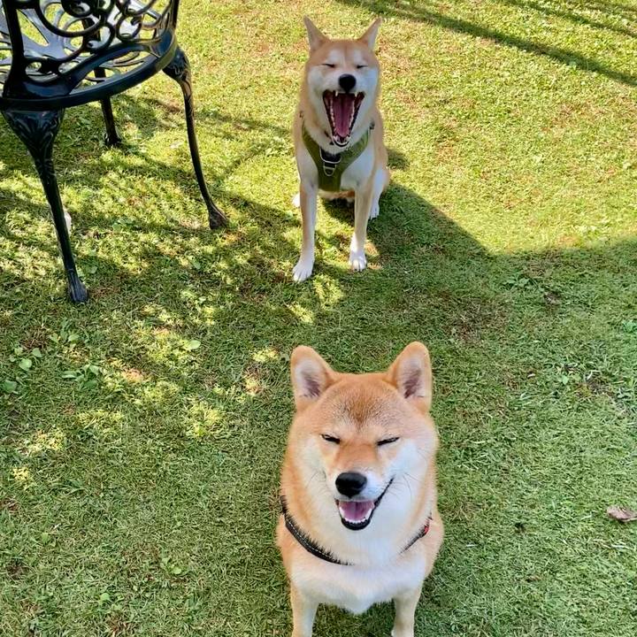 Ab33d291 957a 4d08 b281 7d867da5acc0 1666313016678