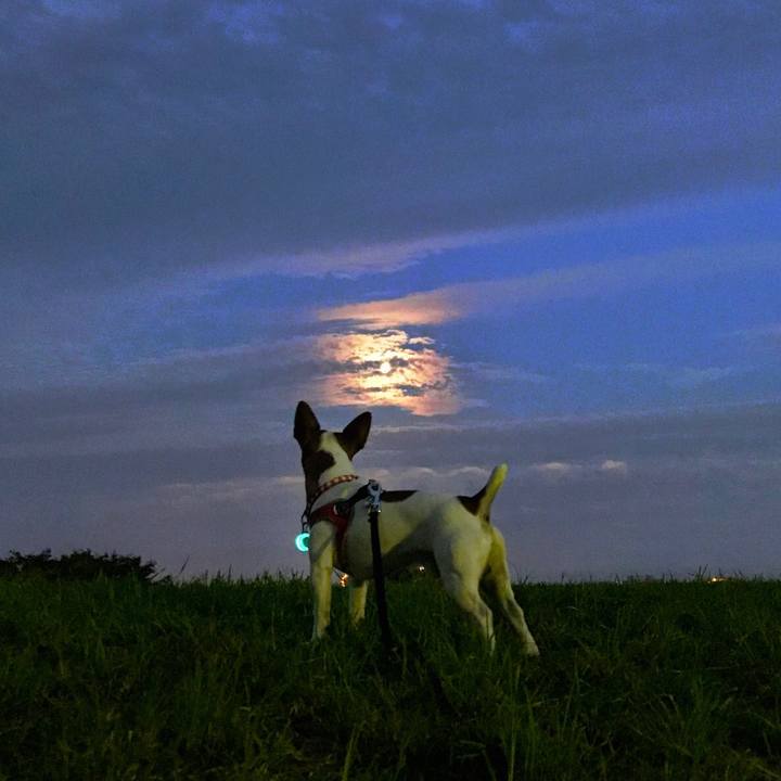 Ab3482ca 1c39 4f20 876f 28ecd22b1035 1537700976726