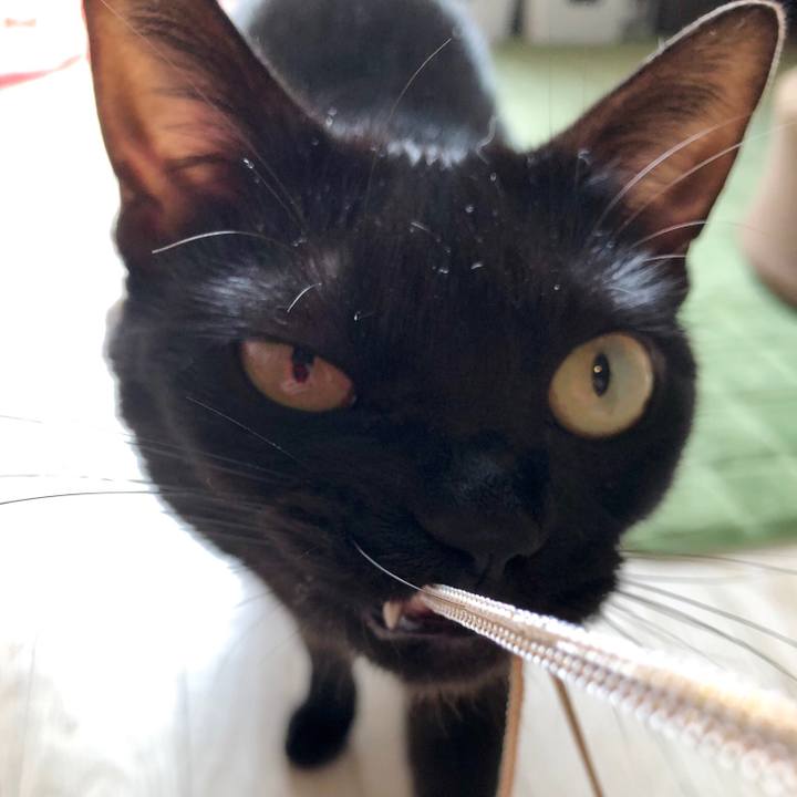 Ab34ac6b 72df 4558 9365 35c1eb6113ce 1555817432101