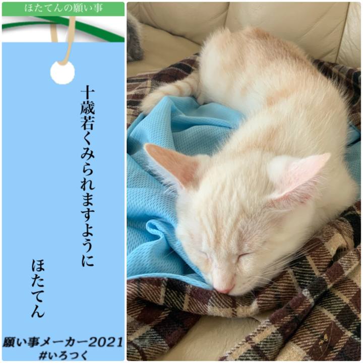 Ab351247 8ab1 491f b026 fe0d6279c12c 1625639587145