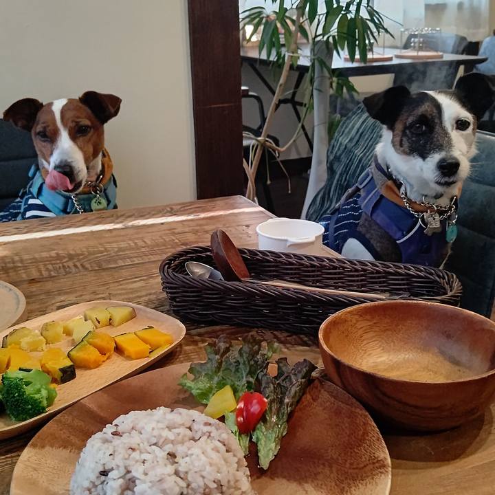 Ab353dd7 4917 4afc b540 493908c2b34a 1677132538395