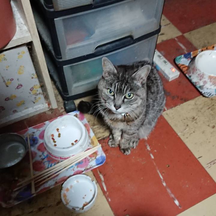 Ab35557f 9ef8 4476 85fd 0b048cfc2590 1585511737687