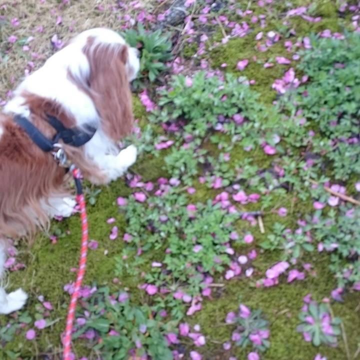 Ab3557c9 1b9f 445c 8102 0d1b6db83612 1556403103111