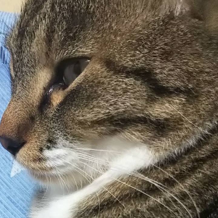 Ab35721f 4f96 4fa5 8644 0d29cccee9d5 1614439801974