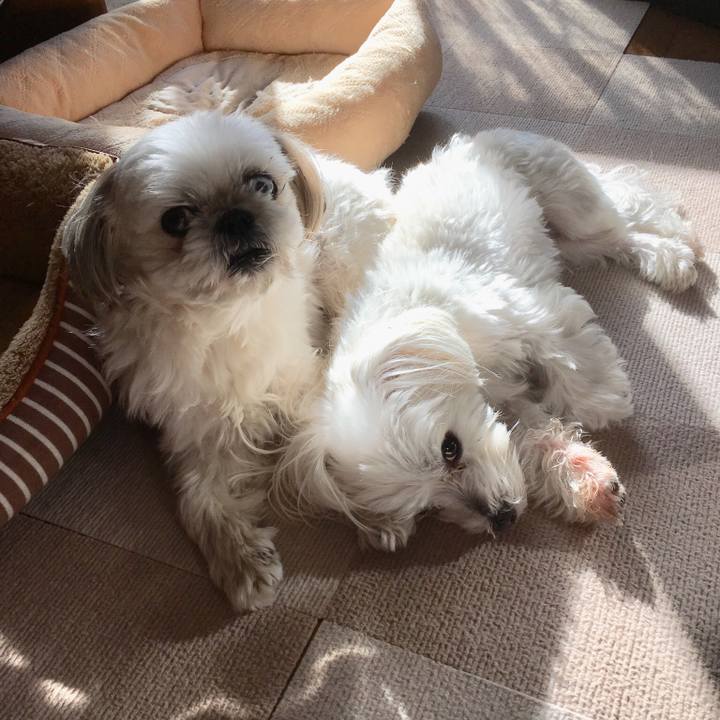 Ab357f36 06a1 4883 ae32 08c651aac3a6 1546477356049